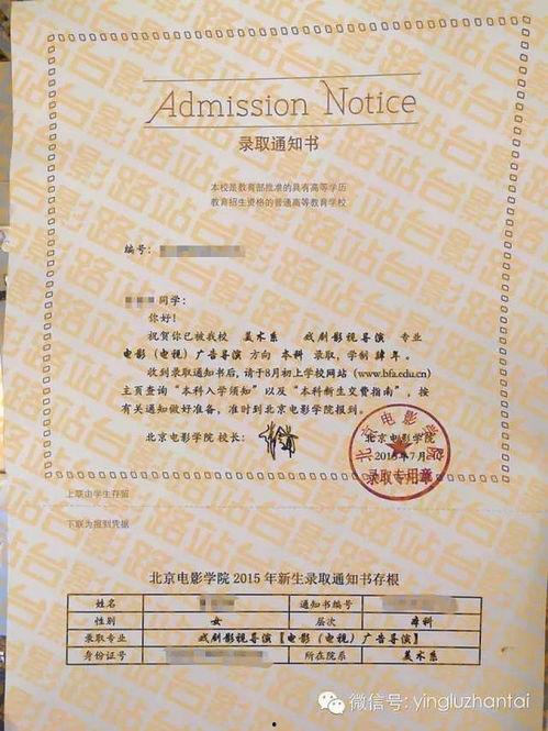 录取通知书电影,录取通知书背后的青春传奇
