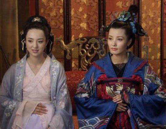 狸猫换太子电视剧,宫廷秘闻与权谋较量