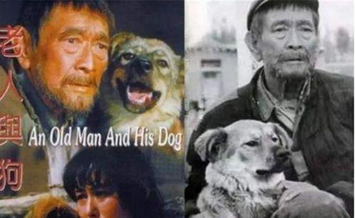 老狗电影,岁月沧桑，忠诚不渝的犬界传奇
