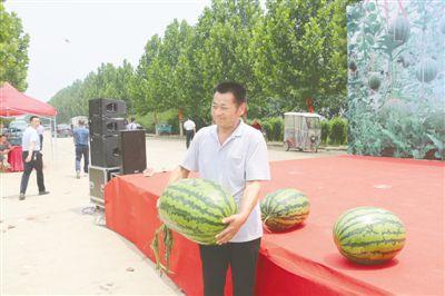 中牟韩寺吊瓜今日报价查询