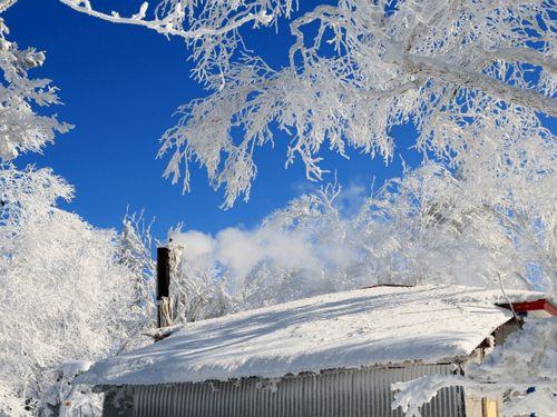 各路明星网红滑雪是谁,冬日运动风潮席卷而来