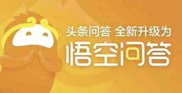 悟空问答有哪些热门话题,揭秘网友热议焦点