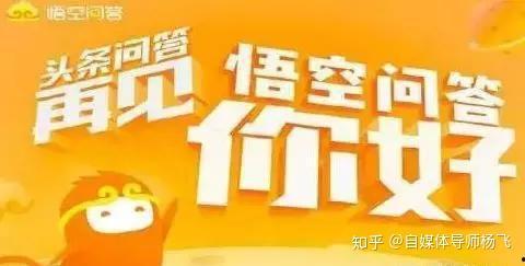 悟空问答有哪些热门话题,揭秘网友热议焦点