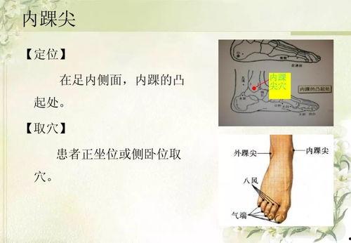 奇经疗法上热门话题,揭秘热门话题中的养生奥秘