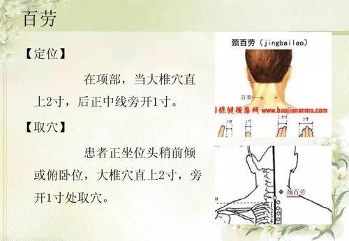 奇经疗法上热门话题,揭秘热门话题中的养生奥秘