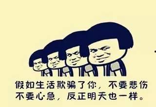 关于农资的热门话题短句,探讨现代农业发展关键要素