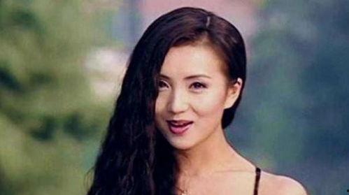 陈好电视剧,风华绝代，演绎传奇人生
