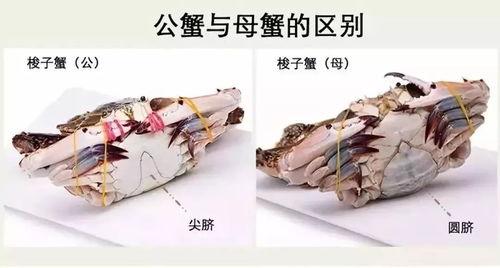 热门话题海鲜做法大全