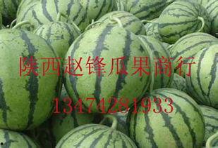 桂林市今日哈密瓜批发价,新鲜上市，价格亲民！”