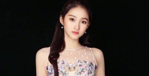 明星网红一姐简介图片,颜值与才华并存的璀璨之星