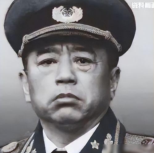 电视剧彭德怀元帅,铁血丹心铸就革命传奇
