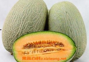 吃瓜百科今日首页在线观看,揭秘娱乐圈最新热点事件