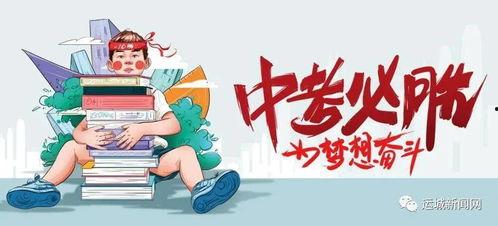 莱芜553地瓜今日最新消息,最新行情解读，市场动态一览”