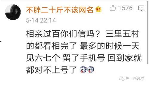 关于热门话题的故事稿件,探寻热门话题背后的故事与真相