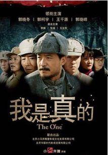 我是真的电视剧,揭秘现代都市中的情感纠葛与成长历程