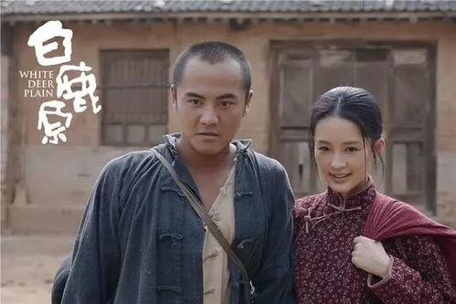 电视剧白鹿原,烽火岁月里的家族传奇