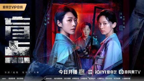 盲点电视剧,揭开真相的暗影角落
