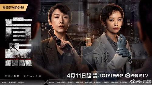 盲点电视剧,揭开真相的暗影角落