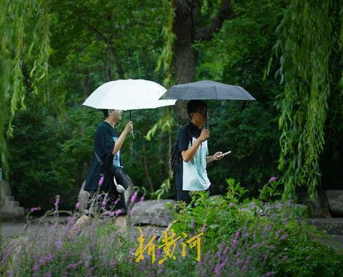 热门话题雨中漫步图片,邂逅诗意时光的浪漫瞬间
