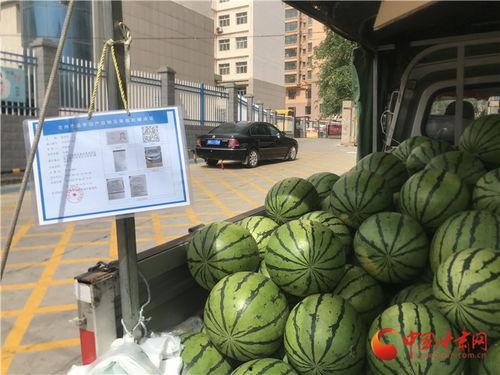 南宁今日吃瓜事件最新消息,揭秘背后真相与网络热议