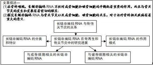 教育类期刊热门话题,解码教育类期刊热门话题
