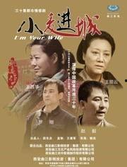 电视剧小麦进城,农村女孩的奋斗与蜕变