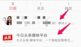 今日头条怎么看瓜主账号,揭秘瓜界幕后黑手