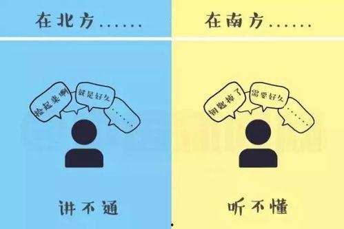 热门话题南北差异问题,一探究竟的饮食、文化碰撞