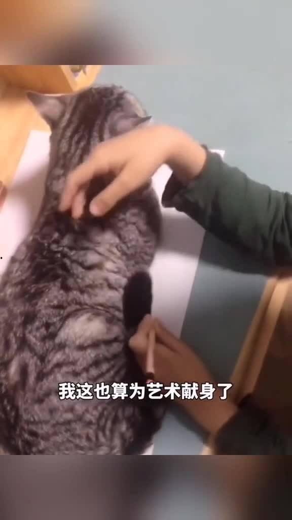 动物搞笑视频 热门话题