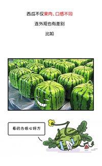 今日吃瓜历史记录最新版,揭秘娱乐圈最新热点事件