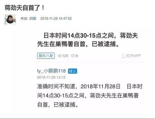 今日吃瓜历史记录最新版,揭秘娱乐圈最新热点事件