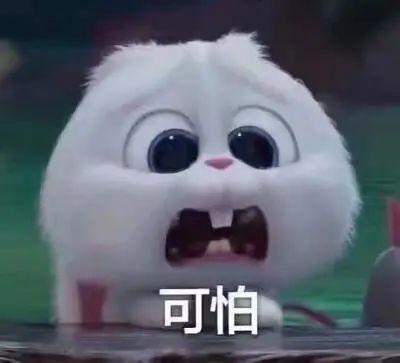 丽水今日吃瓜事件真相是真的吗,真相揭秘，还原事件始末