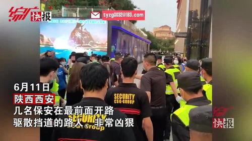 明星网红排场图片高清壁纸,高清壁纸中的璀璨瞬间