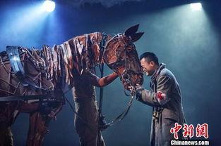 电影战马,勇敢与成长的生命交响曲