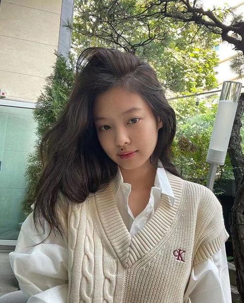 明星网红穿马甲图片高清,高清美图解析时尚潮流