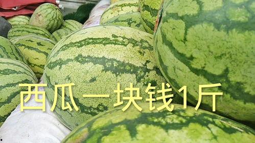 广东今日瓜价多少钱一斤,一斤多少钱，市场行情一览”