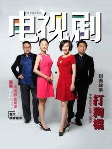 2013年电视剧,光影交织的岁月记忆