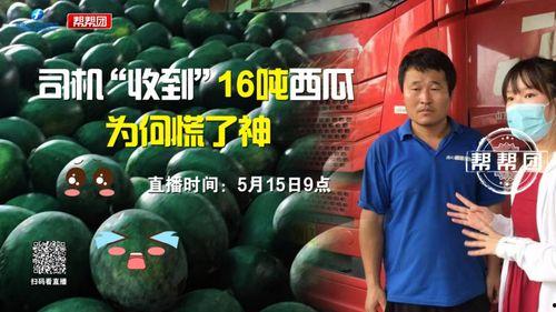 今日大瓜第九集创意短片,揭秘幕后真相，剧情反转再反转！