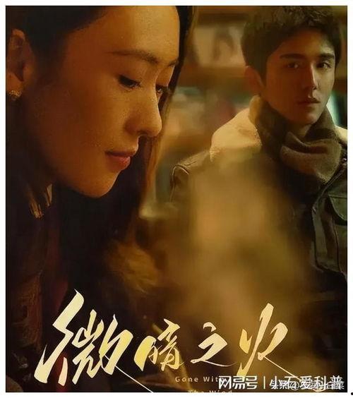 电视剧追,探寻电视剧追生背后的故事与情感