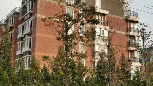 明星网红在北京的豪宅,明星网红的奢华居住地大揭秘