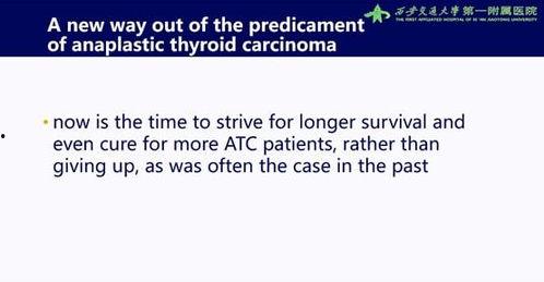 2022年当下热门话题,聚焦时事热点，洞察社会脉动