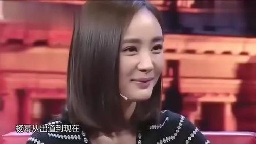 明星网红问答怎么说