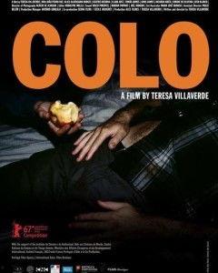 葡萄牙电影,探寻电影艺术的魅力之旅