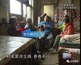 今日辛集吃瓜视频最新一期,揭秘本期热门事件幕后真相