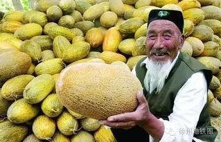 郑州万邦哈密瓜今日行情,价格波动与市场动态一览