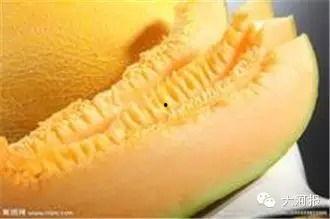 郑州万邦哈密瓜今日行情,价格波动与市场动态一览