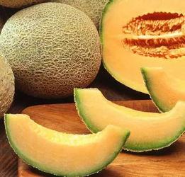 郑州万邦哈密瓜今日行情,价格波动与市场动态一览