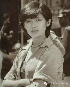 日本电视剧血疑,揭秘家族秘密与复仇之路