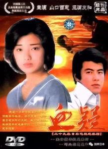 日本电视剧血疑,揭秘家族秘密与复仇之路