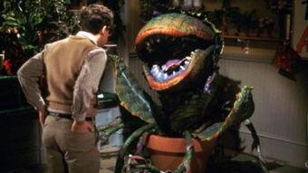 食人花电影,荒野求生，人性与自然的残酷较量